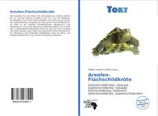 Borítókép a  Areolen-Flachschildkröte - hoz