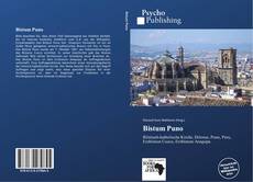 Bookcover of Bistum Puno