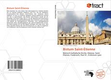 Bookcover of Bistum Saint-Étienne