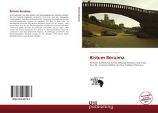 Bookcover of Bistum Roraima