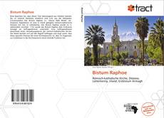 Portada del libro de Bistum Raphoe