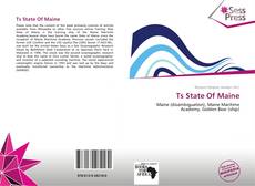 Ts State Of Maine的封面