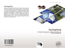 Buchcover von Tsg Augsburg