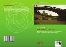 Bookcover of Bistum Rio Grande