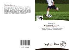 Couverture de Vladimir Kesarev