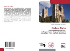 Couverture de Bistum Salto