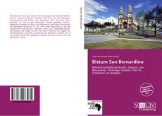 Buchcover von Bistum San Bernardino