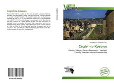 Couverture de Cegielnia-Kosewo