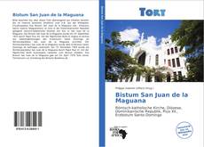 Bistum San Juan de la Maguana的封面