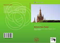 Bookcover of Bistum San Pablo