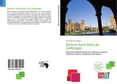 Bistum Sant Feliu de Llobregat的封面