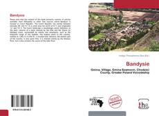 Bookcover of Bandysie