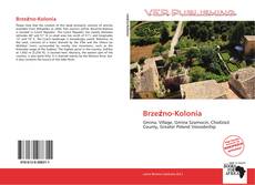 Capa do livro de Brzeźno-Kolonia 