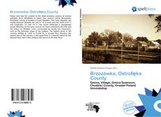 Buchcover von Brzozówka, Ostrołęka County