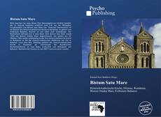 Buchcover von Bistum Satu Mare