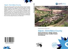 Gąski, Ostrołęka County kitap kapağı