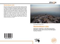 Bookcover of Weslemkoon Lake