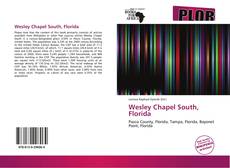 Bookcover of Wesley Chapel South, Florida