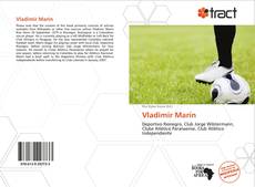 Portada del libro de Vladimir Marín