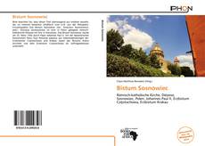 Bookcover of Bistum Sosnowiec