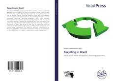 Borítókép a  Recycling in Brazil - hoz