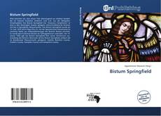 Bistum Springfield的封面