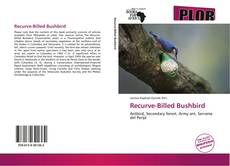 Bookcover of Recurve-Billed Bushbird