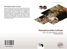 Обложка Nectophrynoides Laticeps