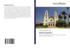 Bookcover of Bistum Superior