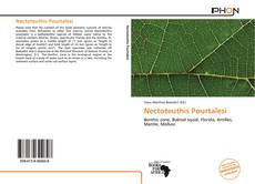 Bookcover of Nectoteuthis Pourtalesi