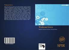 Bookcover of Wesleyan Grove