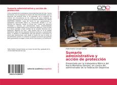 Bookcover of Sumario administrativo y acción de protección