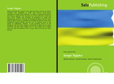 Capa do livro de Sergei Tigipko 