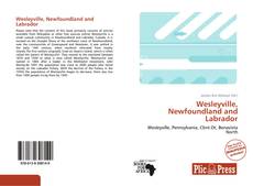 Capa do livro de Wesleyville, Newfoundland and Labrador 