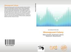 Buchcover von Wessagusset Colony