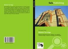 Bookcover of Bistum Tui-Vigo