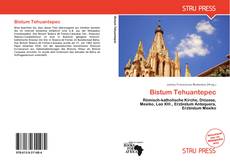 Buchcover von Bistum Tehuantepec