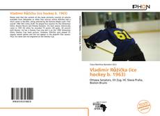 Portada del libro de Vladimír Růžička (ice hockey b. 1963)