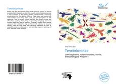 Bookcover of Tenebrioninae