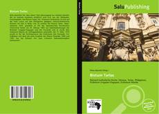 Bookcover of Bistum Tarlac