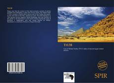 Bookcover of Tt138