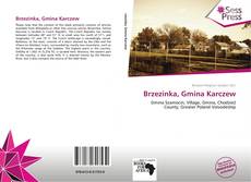 Portada del libro de Brzezinka, Gmina Karczew