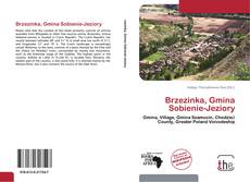 Couverture de Brzezinka, Gmina Sobienie-Jeziory