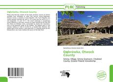 Capa do livro de Dąbrówka, Otwock County 