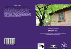 Couverture de Dobrzyniec