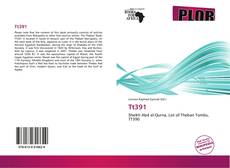 Bookcover of Tt391