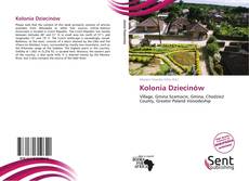 Couverture de Kolonia Dziecinów