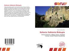 Kolonia Sobienie Biskupie的封面