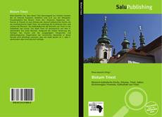 Bookcover of Bistum Triest