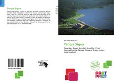 Bookcover of Tengiz Sigua